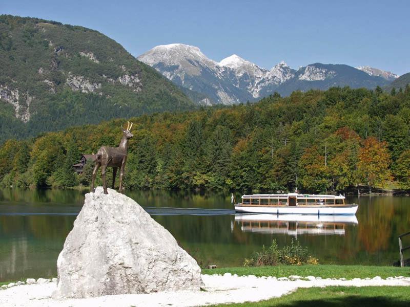 Apartments Zdovc Bohinjska Bistrica Buitenkant foto